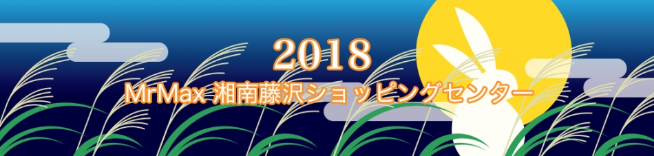 ミスターマックス湘南藤沢ショッピングセンター