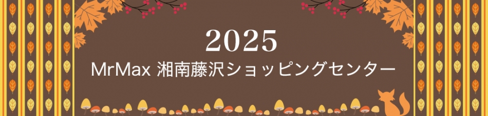 ミスターマックス湘南藤沢ショッピングセンター